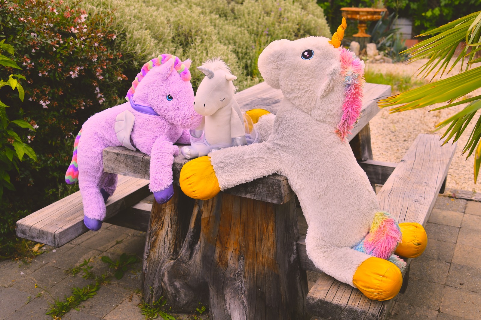 Unicorns